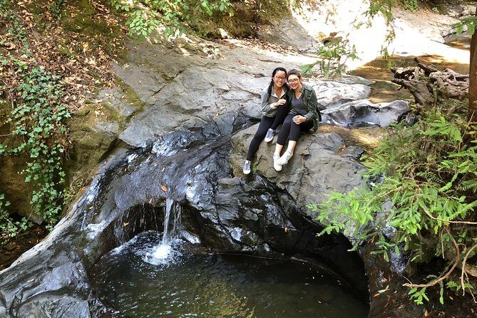Redwoods of Marin and Mt. Tamalpais Walking Tour with Local Guide - FAQs