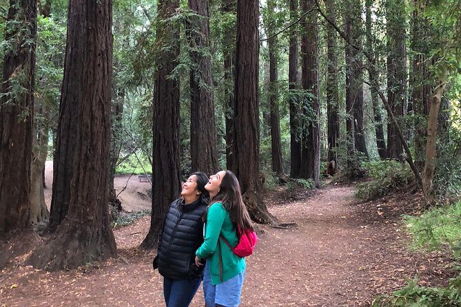 Redwoods of Marin and Mt. Tamalpais Walking Tour with Local Guide - Final Thoughts