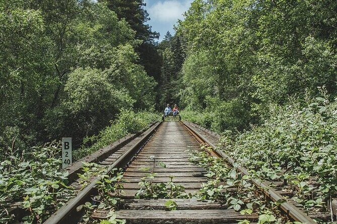 Redwoods Railbike Along Pudding Creek - A Closer Look at the Experience
