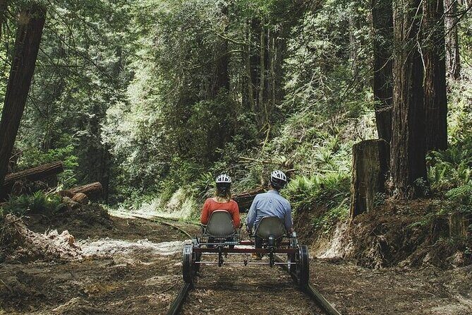 Redwoods Railbike Along Pudding Creek - Practical Details & Considerations