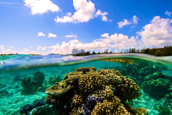 Reef Discovery Private Full Day Lagoon Tour & Water Lunch - What You Should Know Before Booking