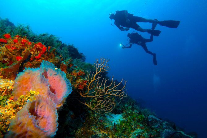 Reef diving in Playa del Carmen - FAQ
