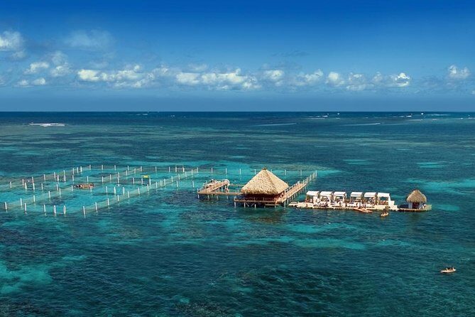 Reef Explorer Half Day Trip - Who Is This Tour Best For?