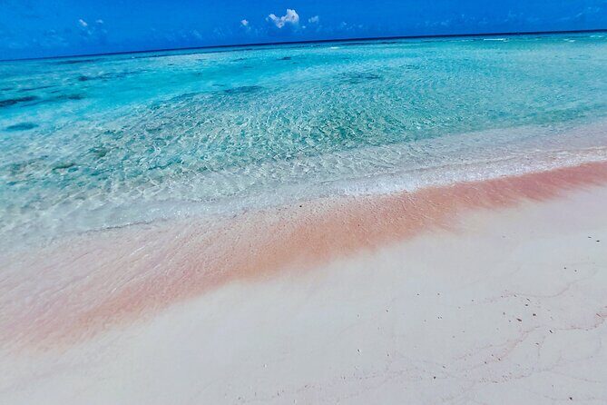 REEF ISLAND | private island | pink sand | natural swimming pools - What Makes This Tour Stand Out