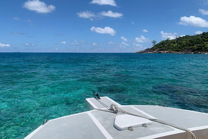 Reef Safari - Snorkeling, Fish Feeding & Lunch (Shared Day Trip) - FAQs