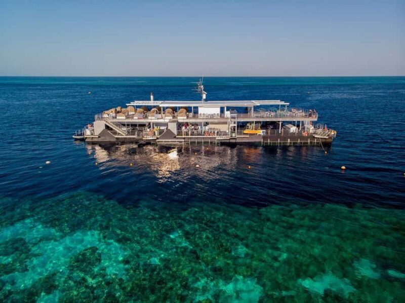 Reef Sleep: 2-Day Great Barrier Reef Pontoon & Gourmet Meals - Final Thoughts: Is Reef Sleep Worth It?