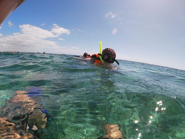 Reef Snorkel In National Park In Puerto Morelos With Lunch And Transportation - The Experience from the Reviews