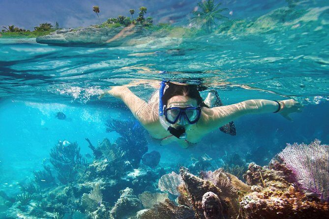 Reef Snorkel In National Park In Puerto Morelos With Lunch And Transportation - FAQs