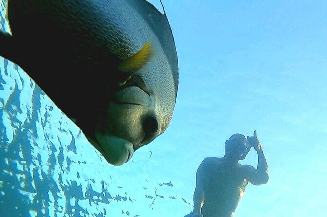 Reef Snorkel & Ocean Paddle Adventure in Fort Lauderdale Beach - Final Thoughts: Is This Tour Right for You?