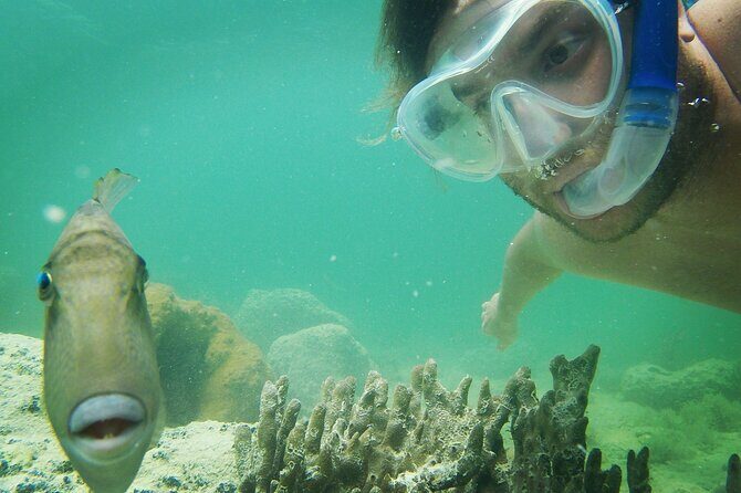 Reef Snorkel + Sandbar & Sunset Sail-Small Groups with Honest Eco - An In-Depth Look at the Reef Snorkel & Sunset Sail Tour