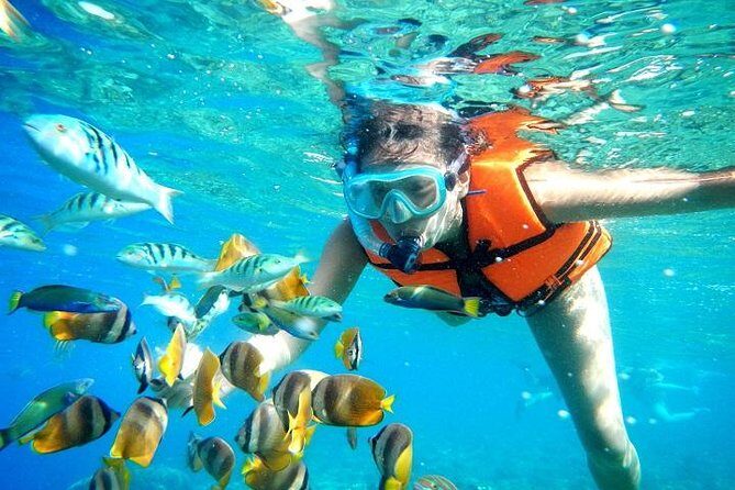 Reef Snorkeling in National Park from Cancun with Beachside Lunch - What the Reviews Say: Real Voices