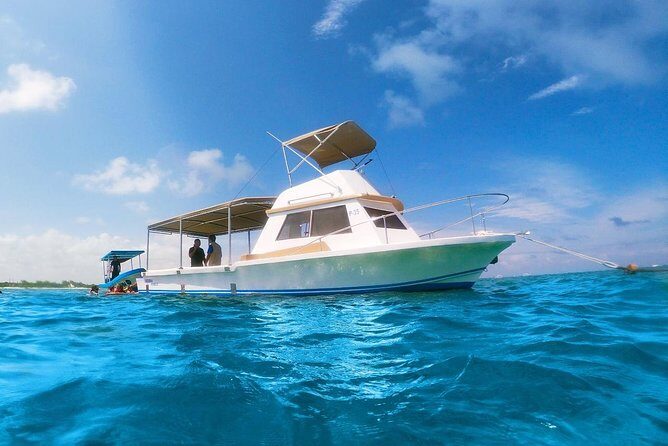 Reef Snorkeling in National Park from Cancun with Beachside Lunch - Wrapping It Up