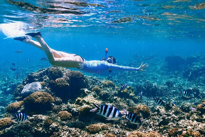 Reef Snorkeling with ATV, Zipline, Cenote that includes lunch and transportation - The Itinerary: What You Can Expect