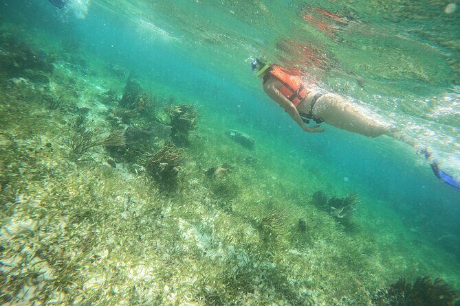 Reef Snorkeling with ATV, Zipline, Cenote that includes lunch and transportation - Final Thoughts