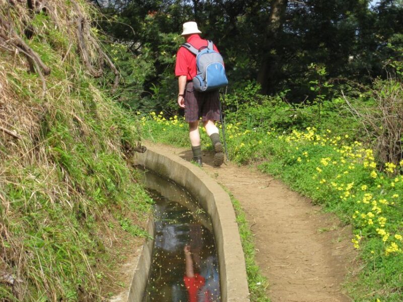 Referta & Castelejo: Half-Day Morning Walk - Practical Details and What to Expect