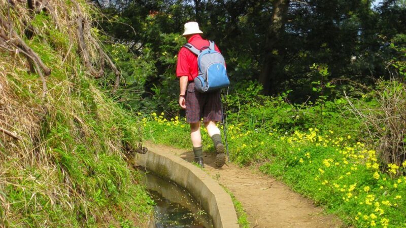 Referta / Castelejo - Levada Walk - The Experience of the Guides