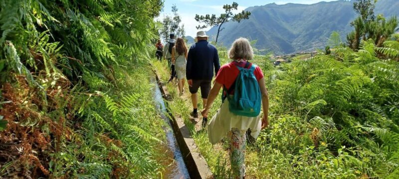 Referta levada walk: Discover Madeiras Quiet Countryside - An Honest Look at the Referta levada Walk