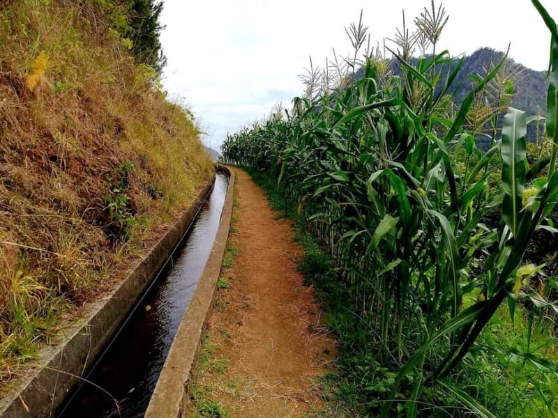 Referta levada walk: Discover Madeiras Quiet Countryside - Who Should Consider This Tour?