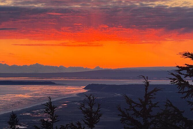 Refined Alaskan Escape: Private, Custom Journey with Local Expert - Final Thoughts