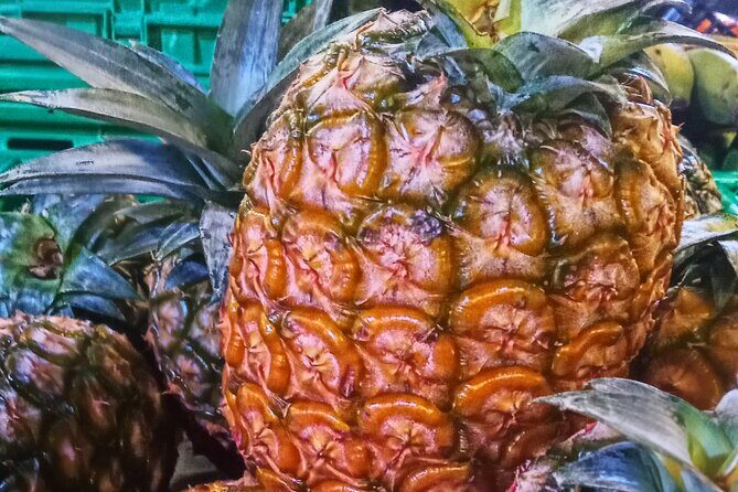 Regional food experience in Ponta Delgada - FAQ about the Ponta Delgada Food Tour