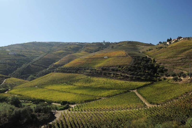 Régua/Pocinho/Régua - The Experience for Travelers