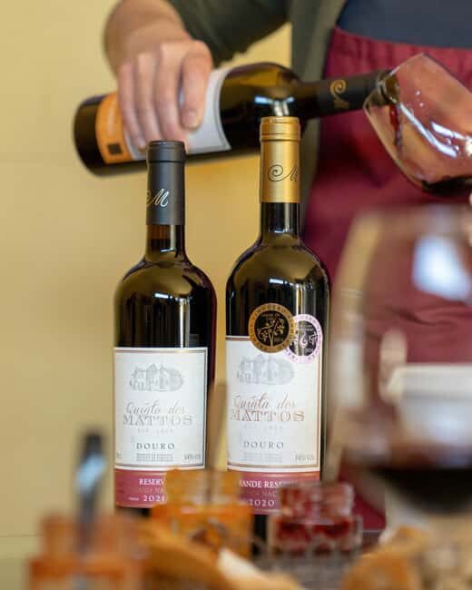 Régua: Wine tasting at a Quinta, traditional lunch, cruise, and train ride - Key Points