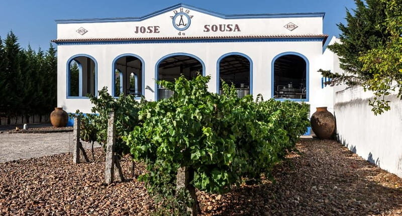 Reguengos de Monsaraz: José de Sousa Winery Tour and Tasting - An In-Depth Look at the Tour Experience