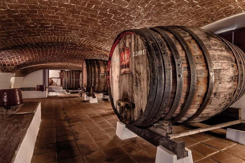 Reguengos de Monsaraz: José de Sousa Winery Tour and Tasting - What Travelers Are Saying