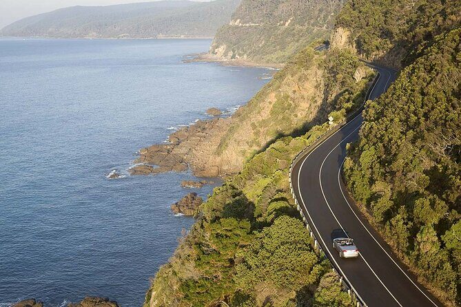 Reimagined Great Ocean Road 1-Day Tour from Melbourne - Authentic Voice from Reviews: What Travelers Are Saying