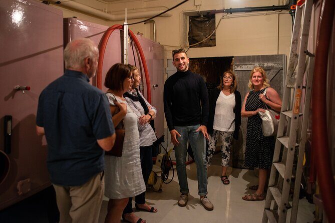 Reims afternoon tour Champagne and family growers - The Experience of the Reims Champagne Tour