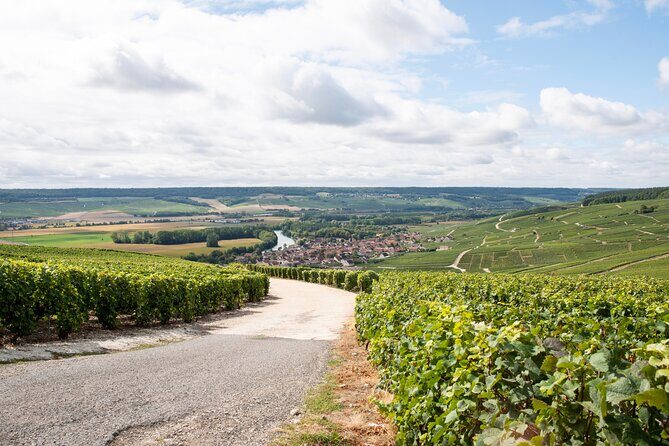 Reims afternoon tour Champagne and family growers - Real Traveler Perspectives