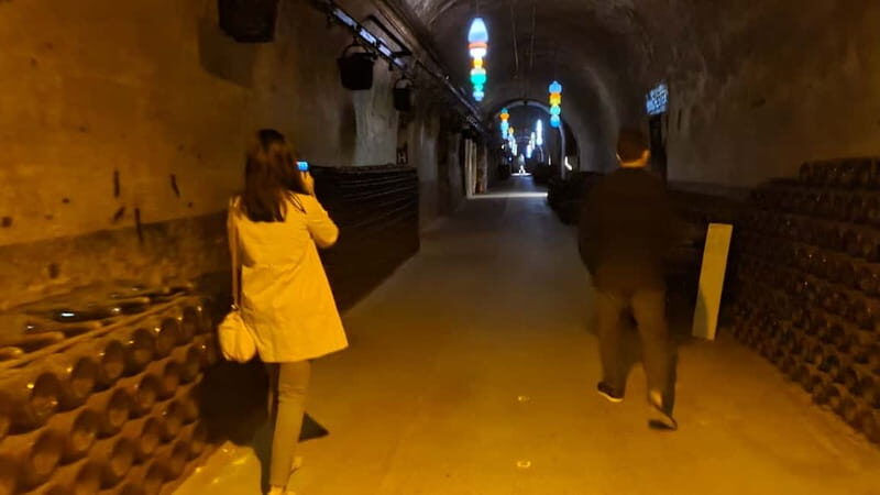 Reims: Big and small wineries day tour - What We Think the Tour Excels At