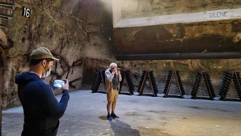 Reims: Big and small wineries day tour - Who Would Love This Tour?