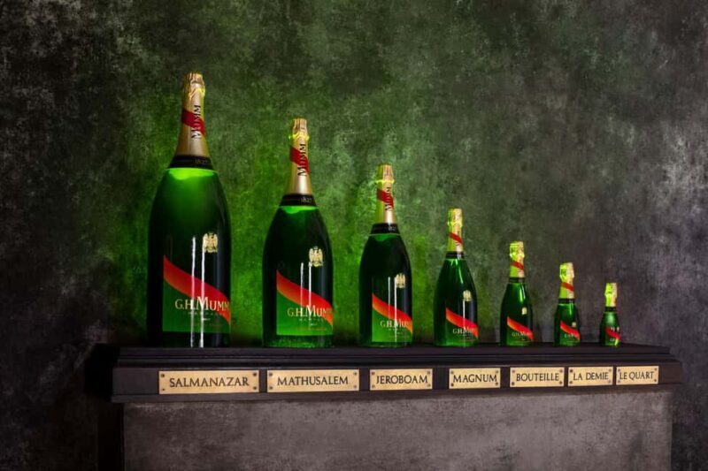 Reims: Champagne House Mumm, Winery Visit with Lunch - Who Should Consider This Tour?