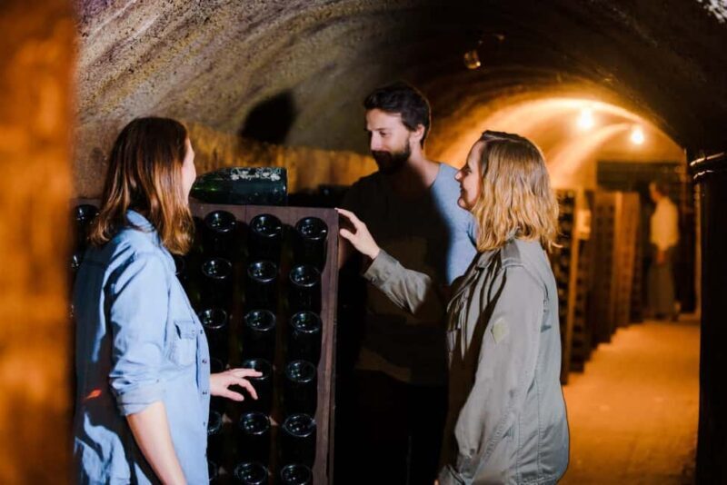 Reims & Epernay: Full Day Private Champagne Tour & 2 Growers - Deep Dive into the Itinerary