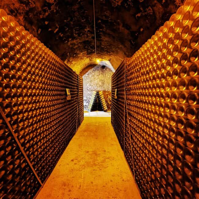 Reims/Epernay: Private Veuve Clicquot Champagne Tasting Tour - Who Should Consider This Tour?
