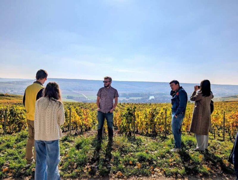 Reims: Moët & Chandon and Family-Run Winery Day Tour & Lunch - The Breakdown of Your Day