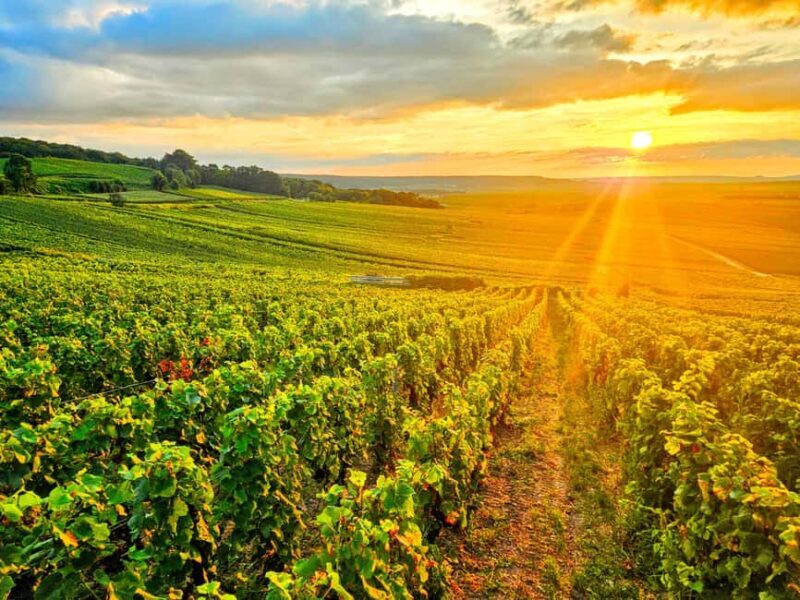 Reims: Veuve Clicquot Tasting Private Tour in Champagne - An In-Depth Look at the Tour