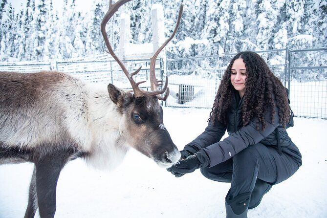Reindeer and Snowmobile Day Trip to Borealis Basecamp with Lunch - What to Expect on the Day