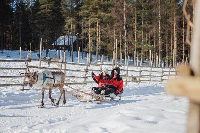 Reindeer Experience with Sledge Ride - FAQ Section