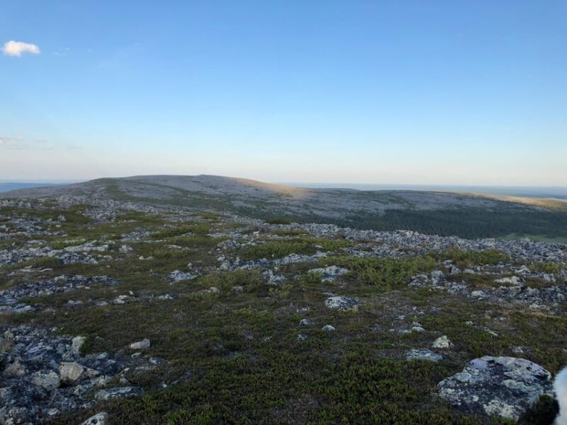 Reindeer Farm Visit & Wilderness Fell Adventure - Final Thoughts