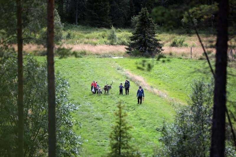 Reindeer Hike in Kuusamo nature - What to Expect on the Reindeer Hike