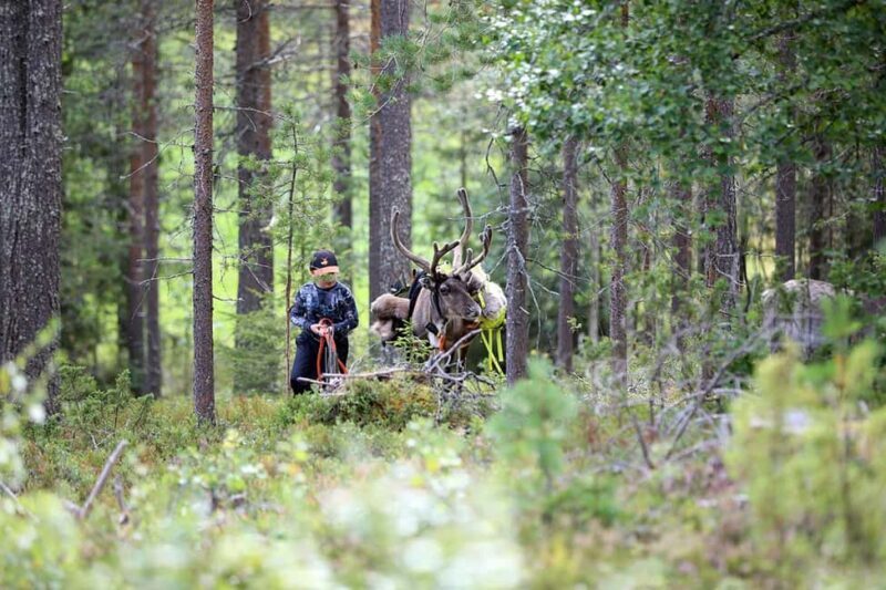 Reindeer Hike in Kuusamo nature - Practical Details: Booking, Cost, and Logistics