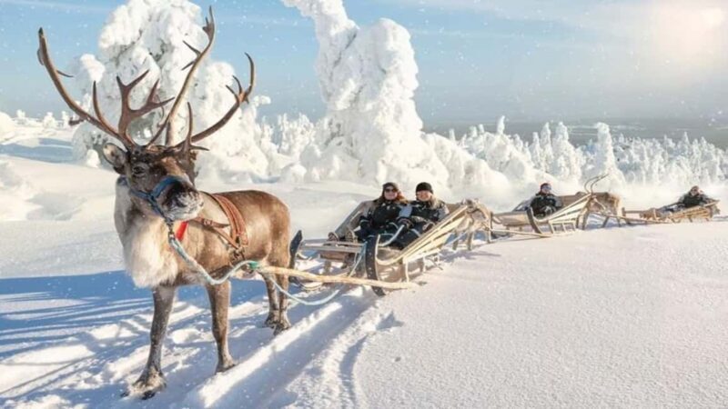 Reindeer Safari and Ice Fishing - The Experience in Detail