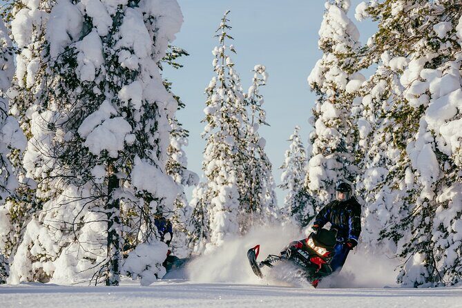 Reindeer Safari with Snowmobile and Cross The Arctic Circle Tour from Rovaniemi - An In-Depth Look at the Experience