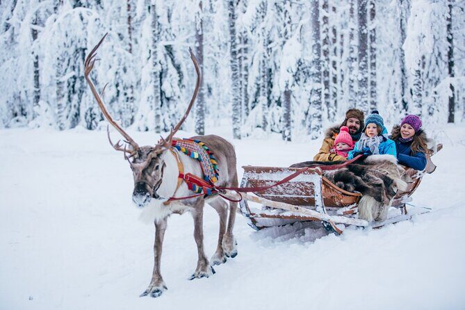 Reindeer Safari with Snowmobile and Cross The Arctic Circle Tour from Rovaniemi - Authentic Reviews and Realistic Expectations