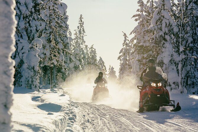 Reindeer Safari with Snowmobile and Cross The Arctic Circle Tour from Rovaniemi - Who Should Consider This Tour?