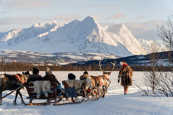 Reindeer Sledding and Feeding with Sami Culture in Tromso. - Starting Point and Arrival
