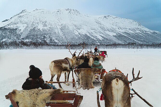 Reindeer Sledding and Feeding with Sami Culture in Tromso. - Learning about Sami Culture and Food