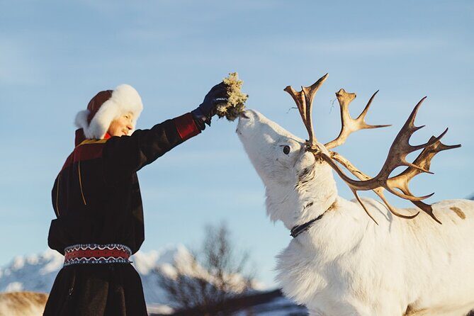 Reindeer Sledding and Feeding with Sami Culture in Tromso. - Storytelling and Music